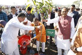 मप्र में बिछेगा फ्लाईओवर का जाल 17 फ्लायओवरों के निर्माण की प्रक्रिया शुरू, एमपीआरडीसी बनाएगा 4 ओवरब्रिज
